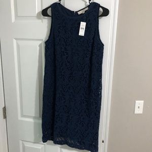 Loft lace dress
